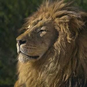 Meet your Posher, Lloyd